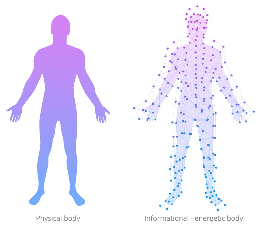 body without and with meridians